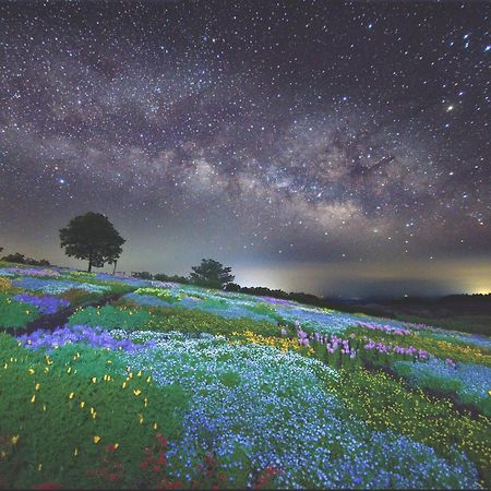 くじゅう花公園　キャンピングリゾート花と星 Kuju 外观 照片