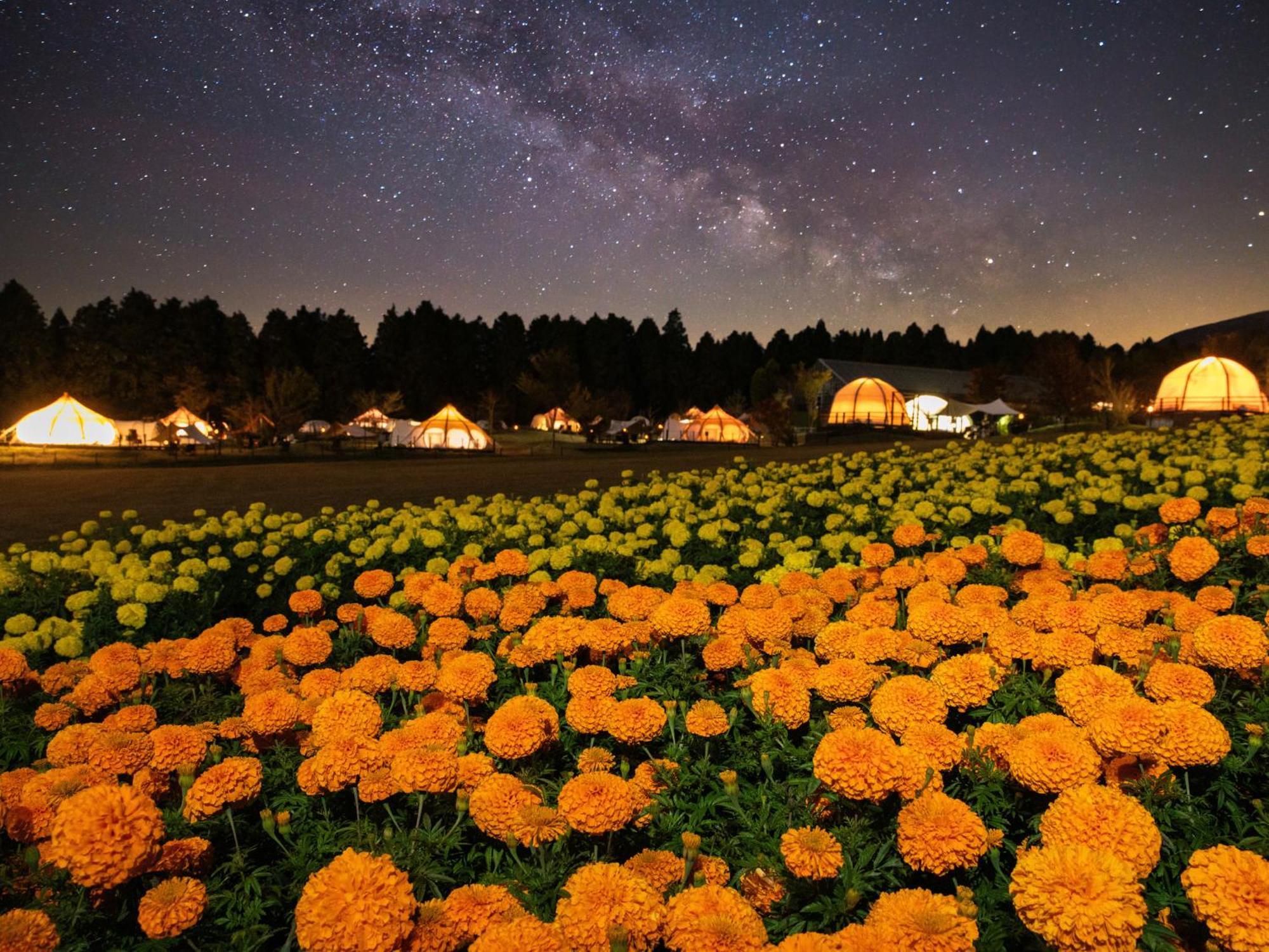 くじゅう花公園　キャンピングリゾート花と星 Kuju 外观 照片