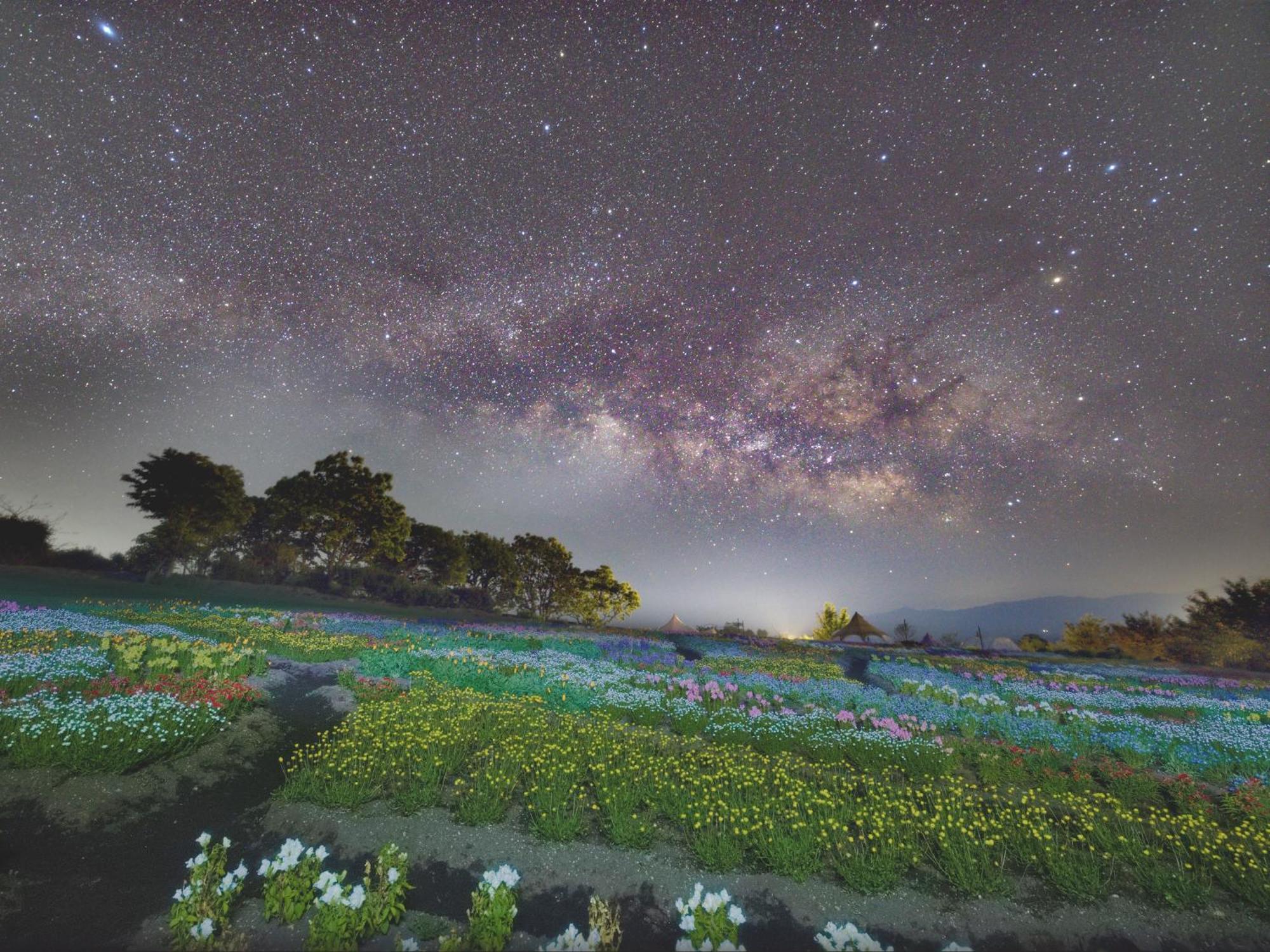 くじゅう花公園　キャンピングリゾート花と星 Kuju 外观 照片