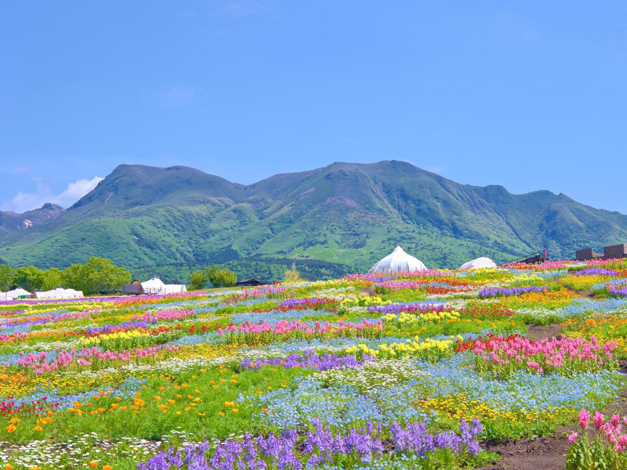 くじゅう花公園　キャンピングリゾート花と星 Kuju 外观 照片
