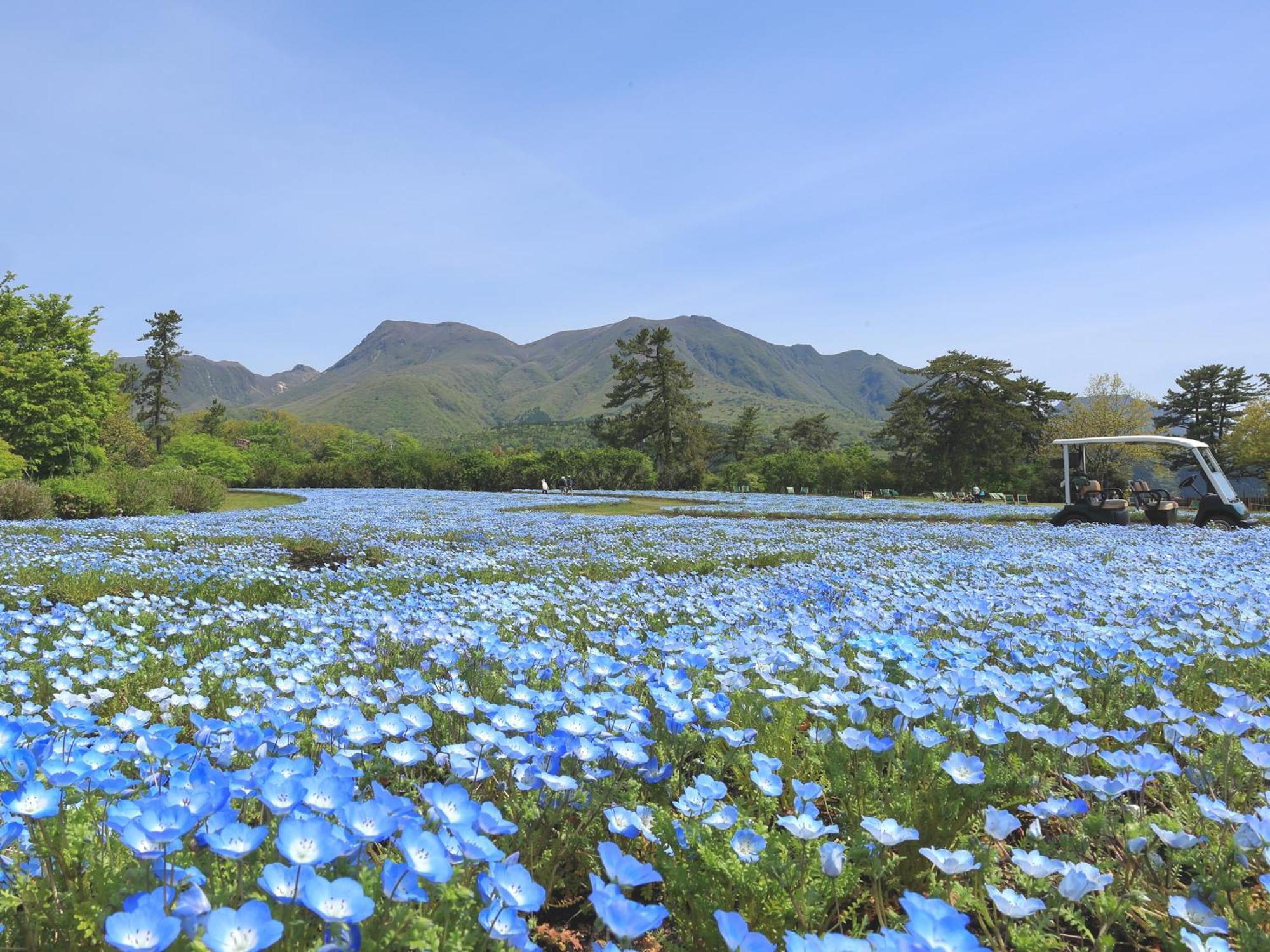 くじゅう花公園　キャンピングリゾート花と星 Kuju 外观 照片
