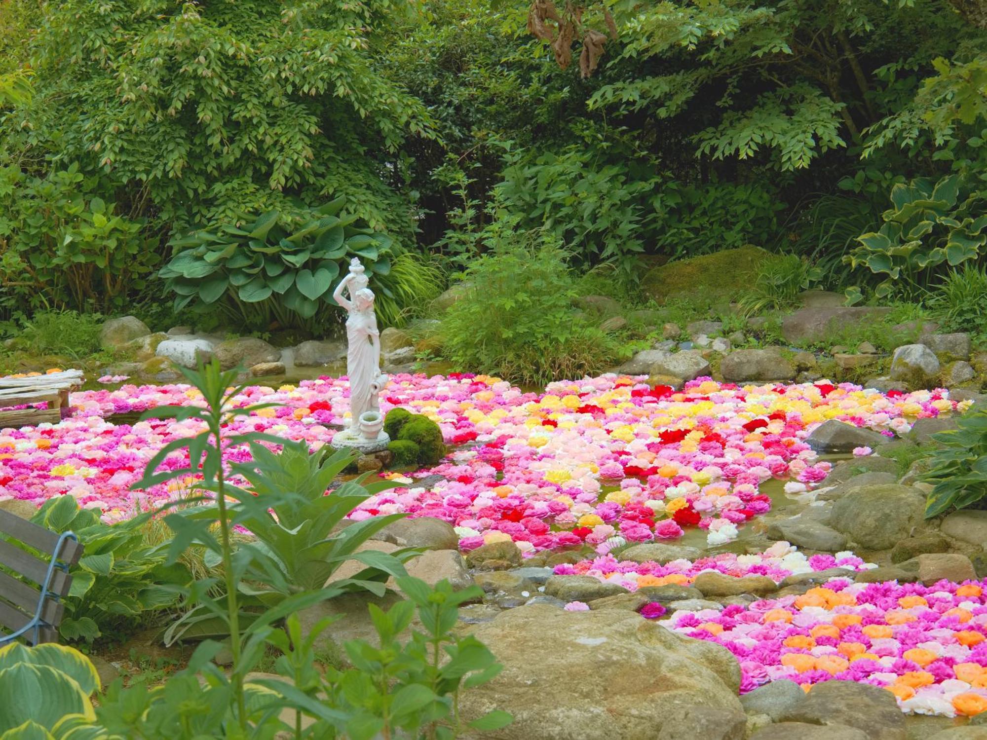 くじゅう花公園　キャンピングリゾート花と星 Kuju 外观 照片