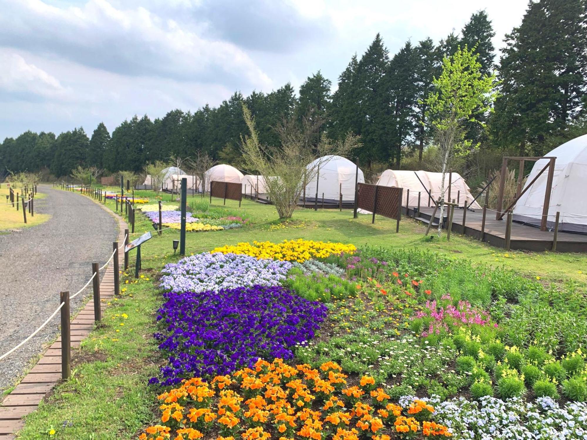 くじゅう花公園　キャンピングリゾート花と星 Kuju 外观 照片