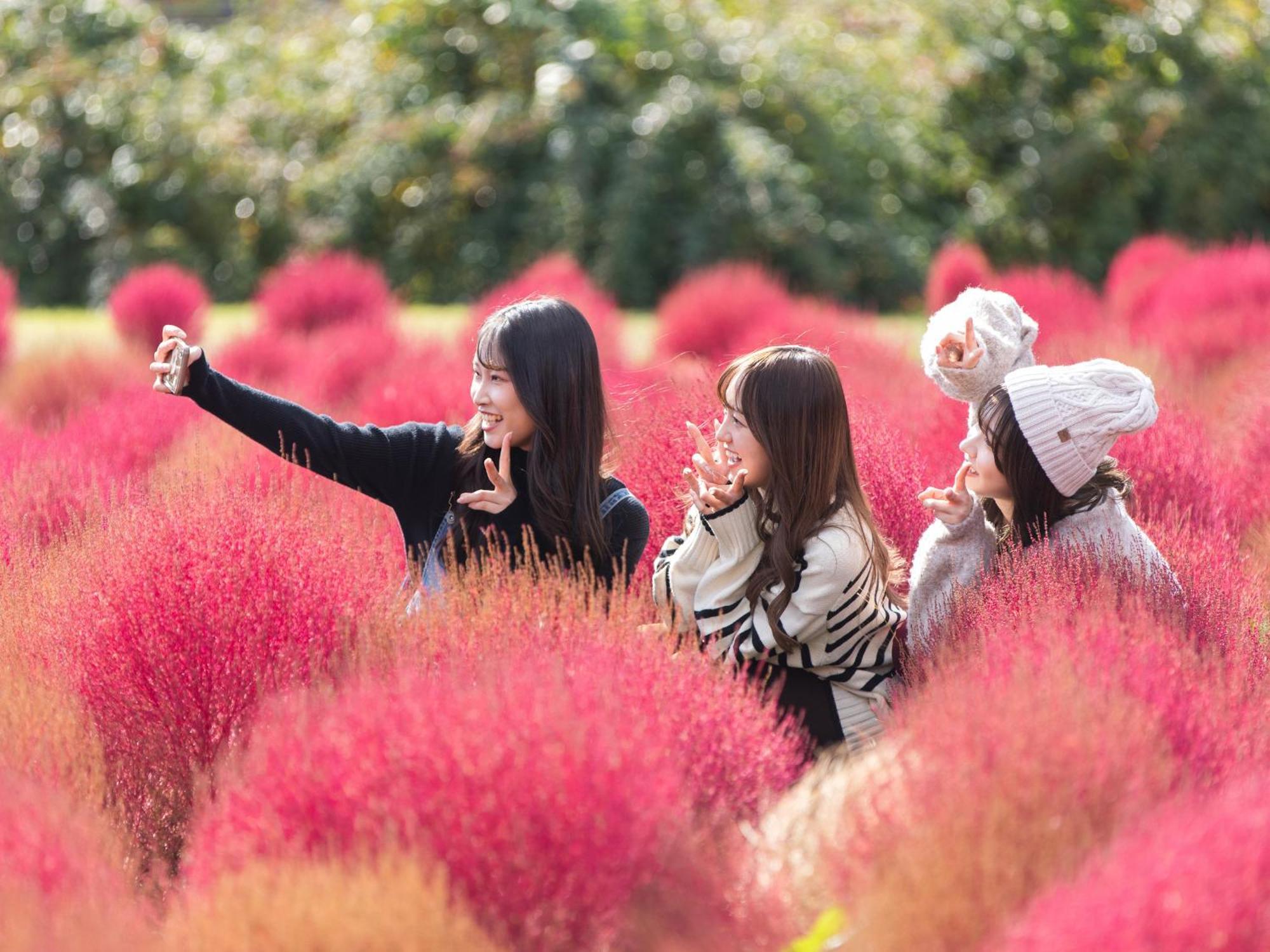 くじゅう花公園　キャンピングリゾート花と星 Kuju 外观 照片