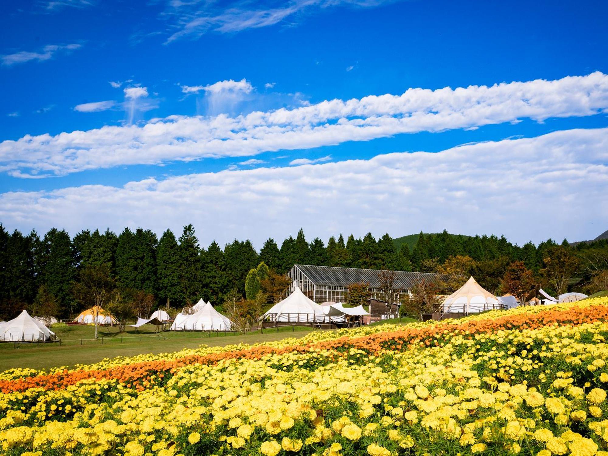 くじゅう花公園　キャンピングリゾート花と星 Kuju 外观 照片