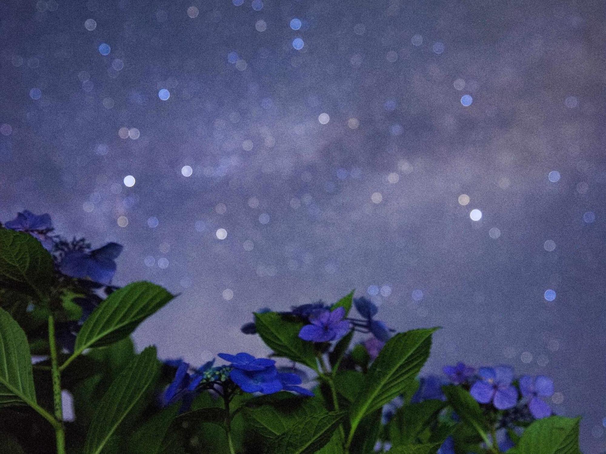 くじゅう花公園　キャンピングリゾート花と星 Kuju 外观 照片